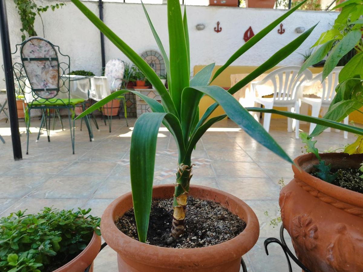 Voulas Guest House Volos Ngoại thất bức ảnh